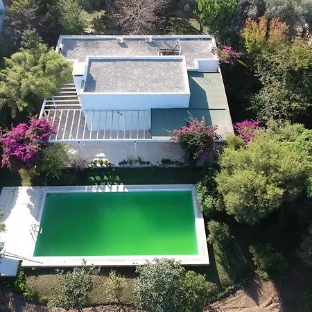 Villa Casa Myndos - Modern And Spacious With Private Pool Gümüşlük